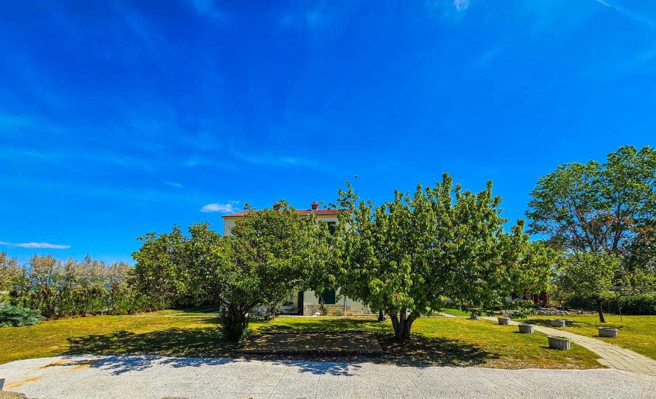 Aenona Sea View Apartments Нин Экстерьер фото